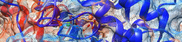 Enzyme