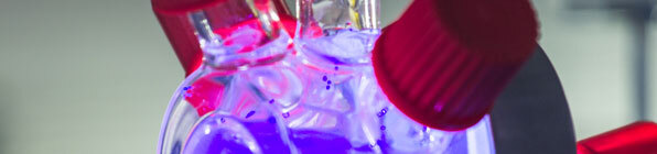 Photocatalysis