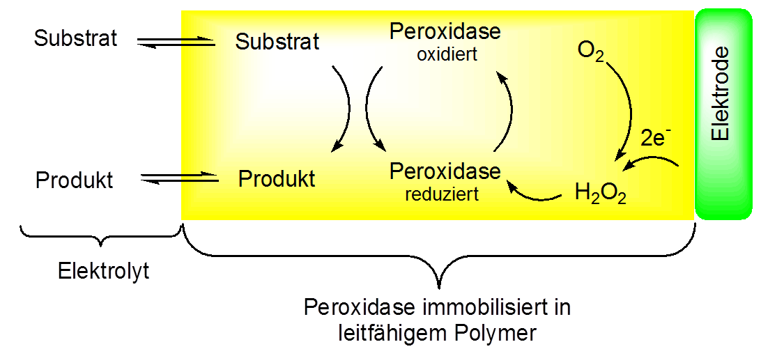 Forschungsbild